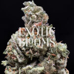 Blue Gotti cannabis strain indica hybrid 24-28% THC available for weed delivery in Washington DC, Virginia, Maryland, and Richmond VA