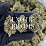 Blue Gotti cannabis strain indica hybrid 24-28% THC available for weed delivery in Washington DC, Virginia, Maryland, and Richmond VA