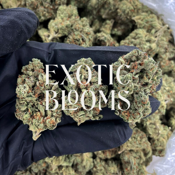 Blue Gotti cannabis strain indica hybrid 24-28% THC available for weed delivery in Washington DC, Virginia, Maryland, and Richmond VA