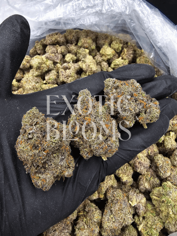 Candy Cloud strain with 25–28% THC, sativa-leaning hybrid offering sweet candy and citrus flavors, creative uplift and body balance. Available for weed delivery in DC, Virginia, Maryland, and Richmond.