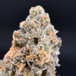Connected Cannabis Co 3.5g premium flower jar available through Exotic Blooms for Washington DC weed delivery.