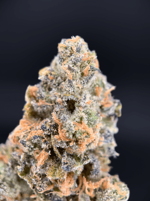 Connected Cannabis Co 3.5g premium flower jar available through Exotic Blooms for Washington DC weed delivery.