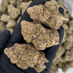 Dry Ice strain dense olive-green buds with pink-tinted trichomes, delivering 25–26% THC. Available for cannabis delivery in Washington DC, Virginia, Maryland, and Richmond.