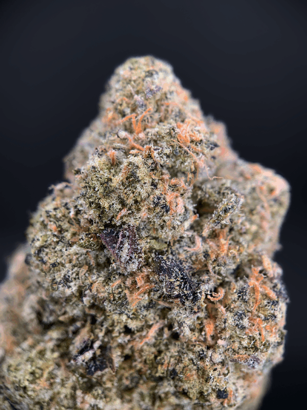 Dry Ice strain dense olive-green buds with pink-tinted trichomes, delivering 25–26% THC. Available for cannabis delivery in Washington DC, Virginia, Maryland, and Richmond.