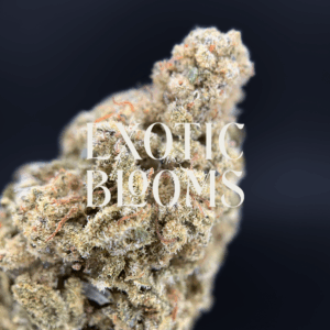 Durban Cookies cannabis strain with 26% THC, featuring frosty minty green buds with amber hairs. Available for weed delivery in Washington DC, Virginia, Maryland, and Richmond.