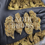 Emperor Cookies sativa-dominant hybrid strain with 32%+ THC, delivering vanilla-citrus flavor and uplifting euphoric effects. Available for weed delivery in DC, Virginia, Maryland, and Richmond.