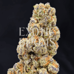 Emperor Cookies sativa-dominant hybrid strain with 32%+ THC, delivering vanilla-citrus flavor and uplifting euphoric effects. Available for weed delivery in DC, Virginia, Maryland, and Richmond.