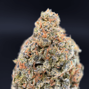 Grape Gasser strain with 25–31% THC. Dense purple and green buds with grape aroma. Available for cannabis delivery in Washington DC, Virginia, Maryland, and Richmond.