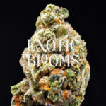 Green Crack cannabis strain, sativa-dominant hybrid, 26-29% THC, available for weed delivery in Washington DC, Virginia, Maryland, and Richmond VA
