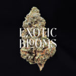 Green Crack cannabis strain, sativa-dominant hybrid, 26-29% THC, available for weed delivery in Washington DC, Virginia, Maryland, and Richmond VA