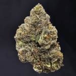 Halo OG strain dense frosty buds coated in trichomes, delivering 30–33% THC. Available for cannabis delivery in Washington DC, Virginia, Maryland, and Richmond.