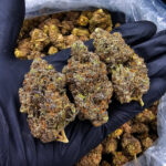 Hulkberry hybrid, 30–32% THC — Strawberry Diesel x OG Kush — weed delivery Washington DC, Virginia cannabis delivery, Maryland marijuana delivery, Richmond VA weed delivery