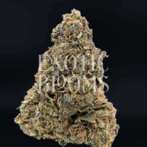Pineapple Dragon cannabis strain with 27–29% THC. Oversized frosty green buds with orange hairs and tropical pineapple aroma. Available for weed delivery in Washington DC, Virginia, Maryland, and Richmond.
