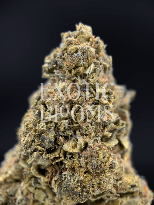Pineapple Dragon cannabis strain with 27–29% THC. Oversized frosty green buds with orange hairs and tropical pineapple aroma. Available for weed delivery in Washington DC, Virginia, Maryland, and Richmond.