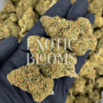 Pineapple Haze cannabis strain with tropical pineapple citrus aroma and frosty trichomes – available for delivery in Washington DC, Virginia, Maryland, and Richmond