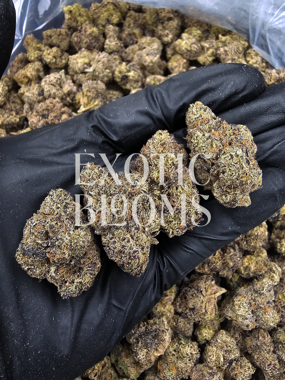 Pink ZOAP strain, Pink Runtz × ZOAP hybrid with 25–29% THC, sweet cherry candy and citrus flavors. Available for weed delivery in Washington DC, Virginia, Maryland, and Richmond.