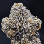 Pink ZOAP strain, Pink Runtz × ZOAP hybrid with 25–29% THC, sweet cherry candy and citrus flavors. Available for weed delivery in Washington DC, Virginia, Maryland, and Richmond.