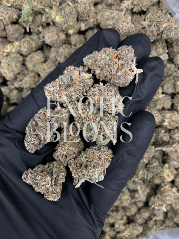 Pure Michigan Smalls strain, 23–27% THC indica-dominant hybrid with nutty chocolate mocha flavor. Small nugs with full potency, available for cannabis delivery in Washington DC, Virginia, Maryland, and Richmond.