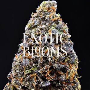 Purple Skywalker strain, hybrid, 28-31% THC, available for weed delivery in DC, Virginia, Maryland, and Richmond VA
