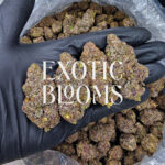 Purple Skywalker strain, hybrid, 28-31% THC, available for weed delivery in DC, Virginia, Maryland, and Richmond VA