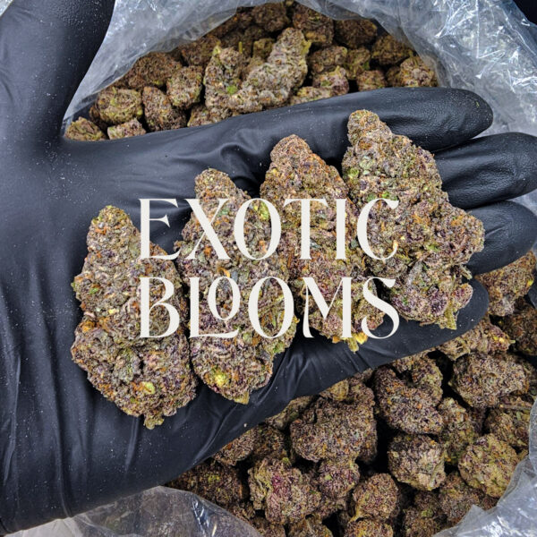 Purple Skywalker strain, hybrid, 28-31% THC, available for weed delivery in DC, Virginia, Maryland, and Richmond VA