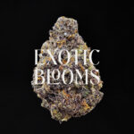 Purple Skywalker strain, hybrid, 28-31% THC, available for weed delivery in DC, Virginia, Maryland, and Richmond VA