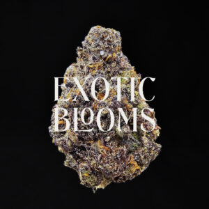 Purple Skywalker strain, hybrid, 28-31% THC, available for weed delivery in DC, Virginia, Maryland, and Richmond VA