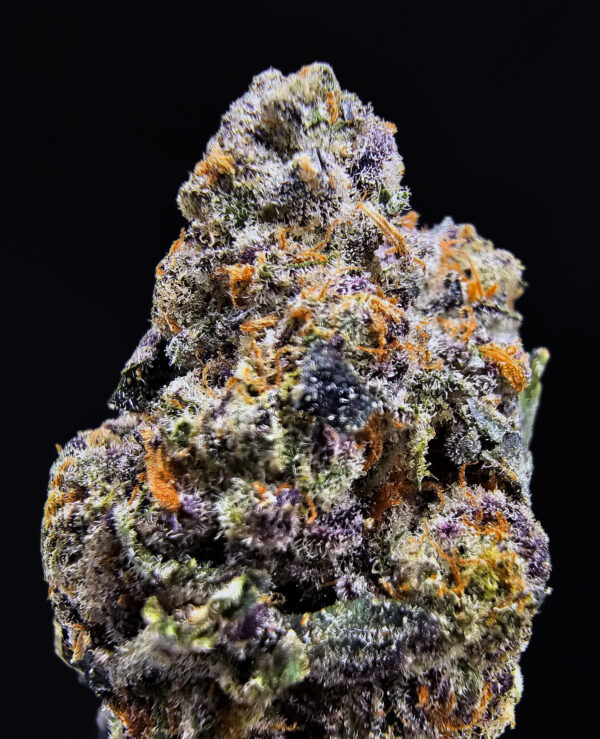 Purple Tangie cannabis strain, hybrid, 28-32% THC, available for weed delivery in Washington DC, Virginia, Maryland, and Richmond VA