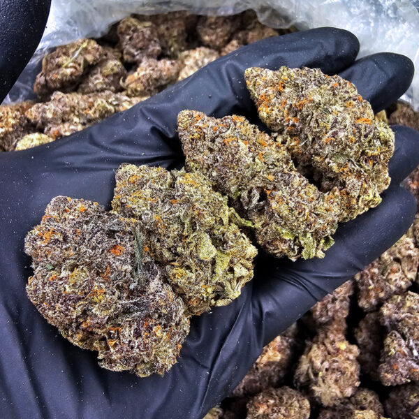 Purple Tangie cannabis strain, hybrid, 28-32% THC, available for weed delivery in Washington DC, Virginia, Maryland, and Richmond VA