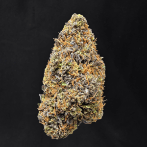 Purple Zombie cannabis strain with 30–34% THC available for weed delivery in Washington DC, Virginia, Maryland, and Richmond VA.