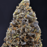 Purple Zombie cannabis strain with 30–34% THC available for weed delivery in Washington DC, Virginia, Maryland, and Richmond VA.