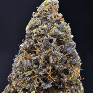 Purple Zombie cannabis strain with 30–34% THC available for weed delivery in Washington DC, Virginia, Maryland, and Richmond VA.