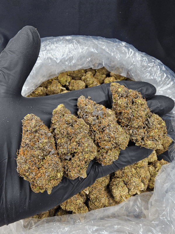 Purple Zombie cannabis strain with 30–34% THC available for weed delivery in Washington DC, Virginia, Maryland, and Richmond VA.
