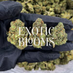 Rainbow Belt cannabis strain indica hybrid 24-27% THC available for weed delivery in Washington DC, Virginia, Maryland, and Richmond VA