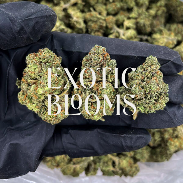 Rainbow Belt cannabis strain indica hybrid 24-27% THC available for weed delivery in Washington DC, Virginia, Maryland, and Richmond VA
