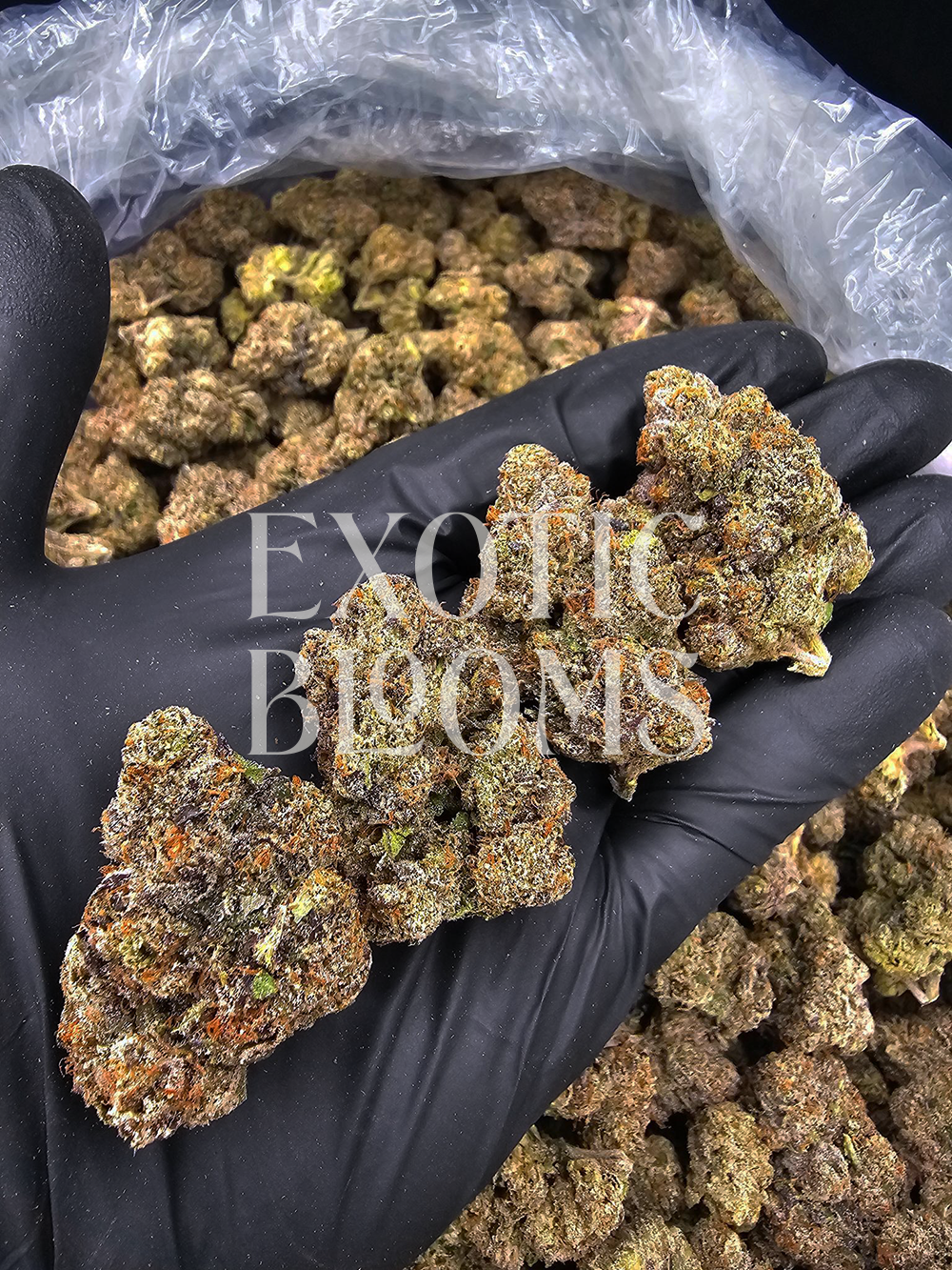Rainbow Blast indica hybrid strain with 32% THC, candy-berry flavor, euphoric uplifting effects, and sedative body high. Available for weed delivery in DC, Virginia, Maryland, and Richmond.