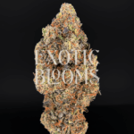 Rainbow Blast indica hybrid strain with 32% THC, candy-berry flavor, euphoric uplifting effects, and sedative body high. Available for weed delivery in DC, Virginia, Maryland, and Richmond.