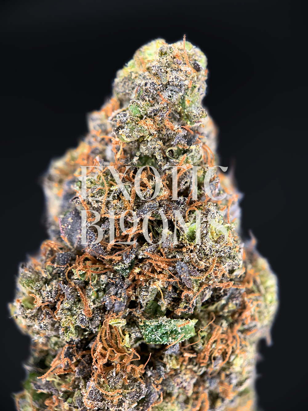Rainbow Blast indica hybrid strain with 32% THC, candy-berry flavor, euphoric uplifting effects, and sedative body high. Available for weed delivery in DC, Virginia, Maryland, and Richmond.