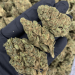 Raspberry Skywalker cannabis strain available for delivery in Washington DC, Northern Virginia, Maryland, and Richmond – Exotic Blooms