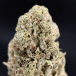 Raspberry Skywalker cannabis strain available for delivery in Washington DC, Northern Virginia, Maryland, and Richmond – Exotic Blooms