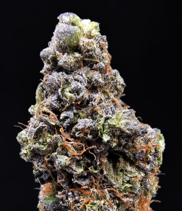 Space Runtz cannabis strain, hybrid, 29-32% THC, available for weed delivery in Washington DC, Virginia, Maryland, and Richmond VA
