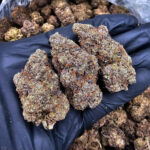 Space Runtz cannabis strain, hybrid, 29-32% THC, available for weed delivery in Washington DC, Virginia, Maryland, and Richmond VA