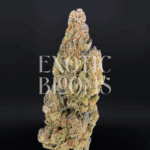 Strawberry Jack cannabis strain with 23–25% THC. Large frosty mint-green buds with amber hairs and strawberry aroma. Available for weed delivery in Washington DC, Virginia, Maryland, and Richmond.