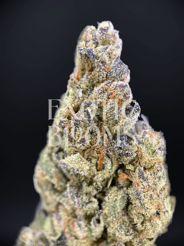 Strawberry Jack cannabis strain with 23–25% THC. Large frosty mint-green buds with amber hairs and strawberry aroma. Available for weed delivery in Washington DC, Virginia, Maryland, and Richmond.