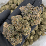 Temptation hybrid cannabis strain with 29–30% THC, sweet cookie and chocolate aroma, relaxing balanced effects, available for weed delivery in Washington DC, Northern Virginia, Richmond, and Maryland via Exotic Blooms.