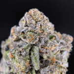 Iceman hybrid cannabis strain (30–31% THC) with sweet minty cream flavor and euphoric focus, available for weed delivery in Washington DC, Northern Virginia, Richmond, and Maryland.
