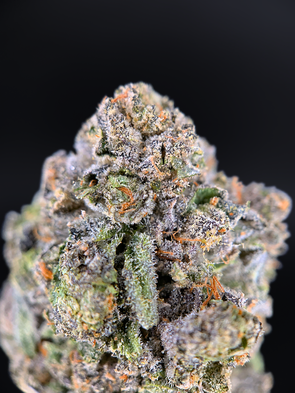 Iceman hybrid cannabis strain (30–31% THC) with sweet minty cream flavor and euphoric focus, available for weed delivery in Washington DC, Northern Virginia, Richmond, and Maryland.