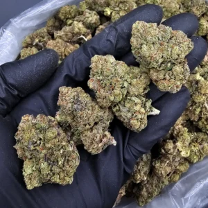 Jolly Rancher indica-dominant hybrid flower with 20–25% THC available from Exotic Blooms for weed delivery in Washington DC, Virginia, Maryland, and Richmond VA.