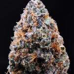 Mango Haze Sativa 28–30% THC Weed Delivery in DC, Virginia, Maryland, Richmond VA