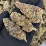 Midnight Runtz strain – potent indica hybrid with blueberry candy aroma and 25–26% THC, available for weed delivery in Washington DC, Arlington, and Northern VA.